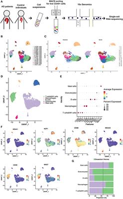 Single-Cell Sequencing of Immune Cells in Human Aortic Dissection Tissue Provides Insights Into Immune Cell Heterogeneity